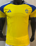 2026 Sweeden Home Kit Player Version