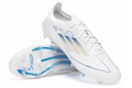 Nike F50 Elite FG Polar Victory - Professional Firm Ground Football Boots