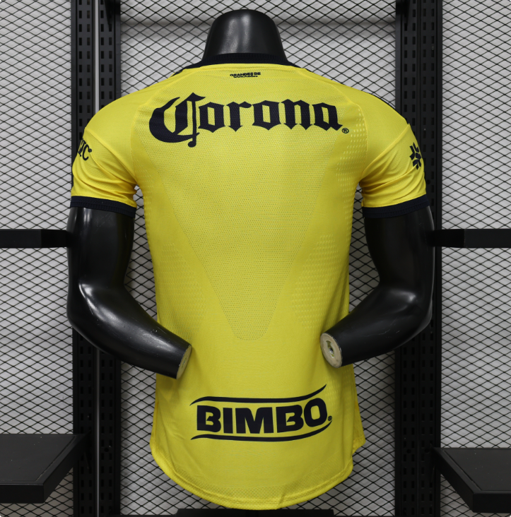 26/27 America Home Kit Player Version